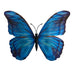 Blue Morpho Glow in the Dark Paper Butterfly Magnet