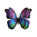 Multi Morpho Glow in the Dark Paper Butterfly Magnet