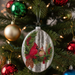 Male and Female Cardinal Glass Dome Ornament