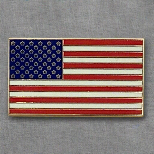 1-1/8" USA Large Rectangular Lapel Pin 2025