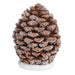 Panoramic Pinecone Figurine - Back Side