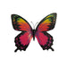 Sunset Swallowtail Glow in the Dark Paper Butterfly Magnet