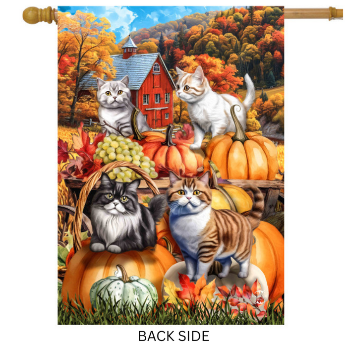 Pumpkin Patch Cats Banner Flag