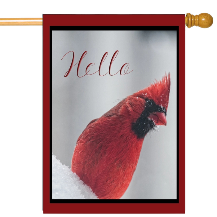 Hello Winter Cardinal Banner Flag