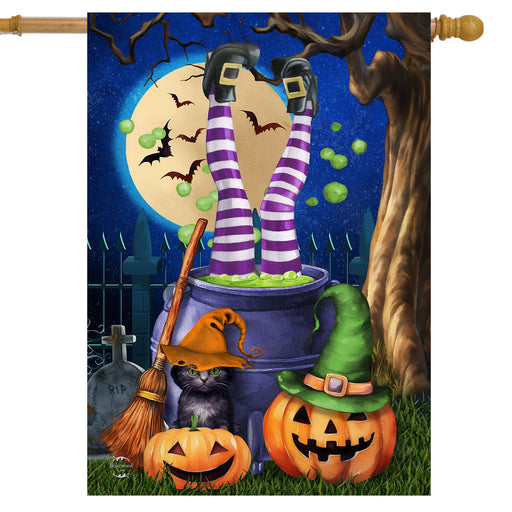 Witches Brew Banner Flag