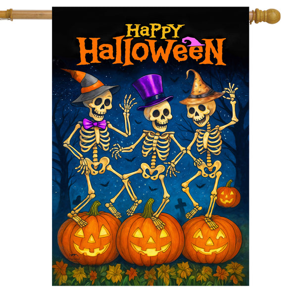 Banner/House Flags