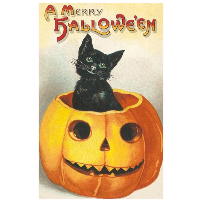 A Merry Halloween Postcard