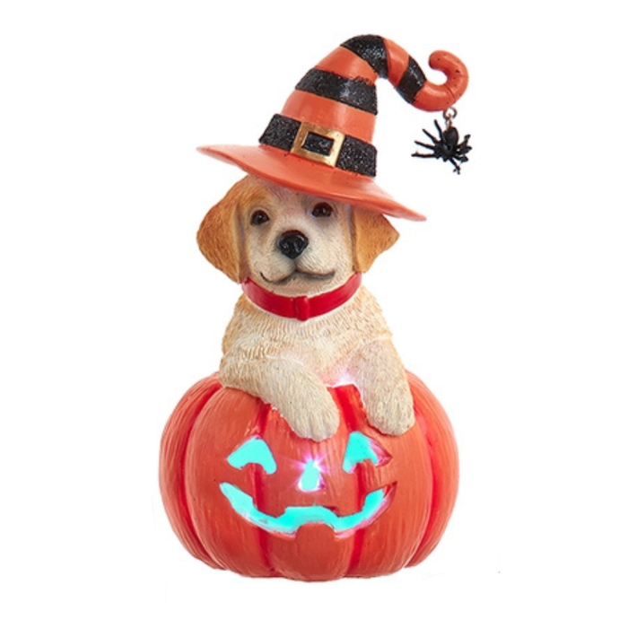 Yellow Labrador Pumpkin LED Light Up Figurine