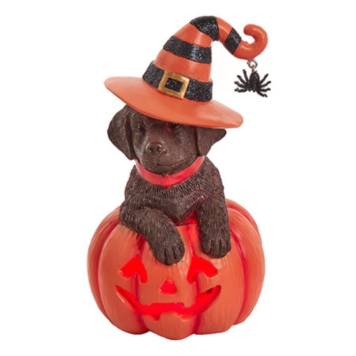 Chocolate Labrador Pumpkin LED Light Up Figurine