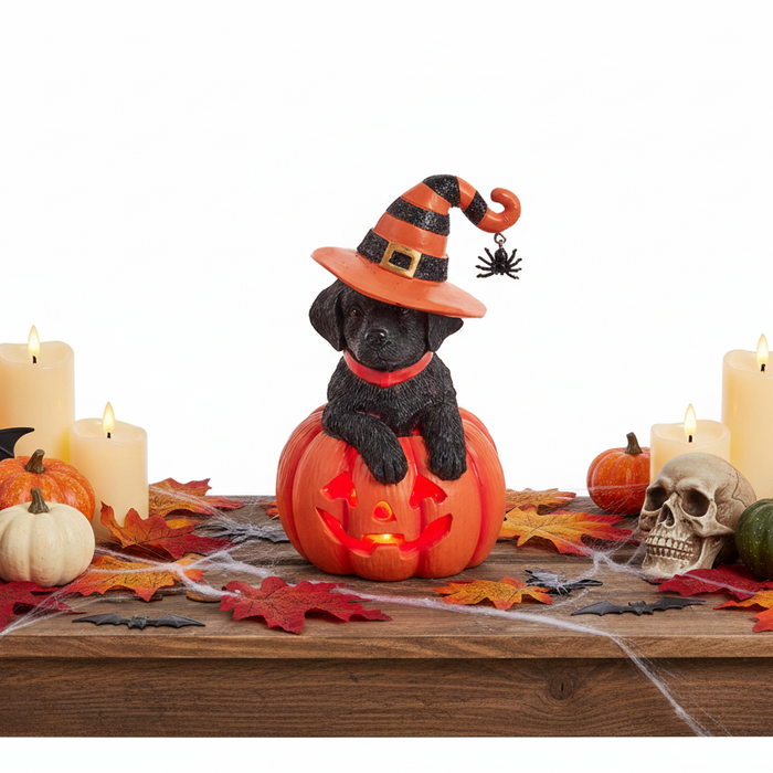 Black Labrador Pumpkin LED Light Up Figurine