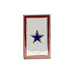 Blue Star One Family Member In Service Lapel Pin 2025