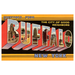 Greetings From Buffalo Large Letter PRINT