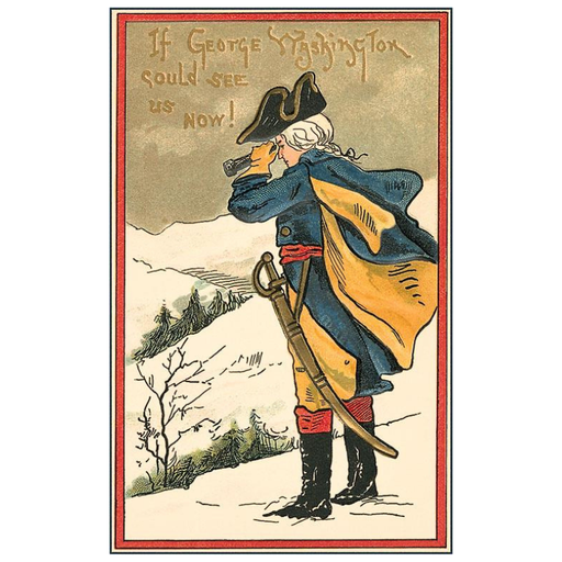 If Washington Could See Us Now PRINT