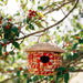 Acorn Sari Birdhouse