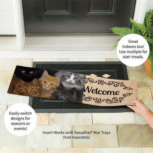 CATS! Sassafras Mini Switch Doormat Insert