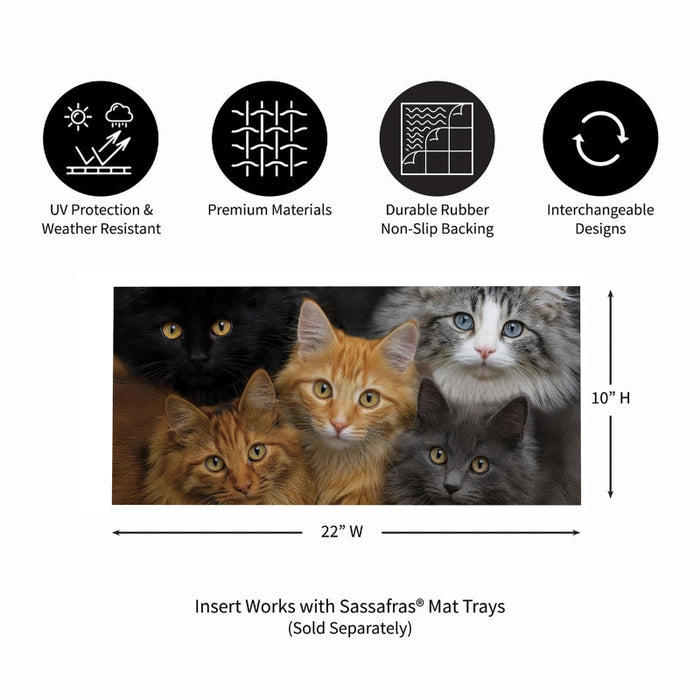 CATS! Sassafras Mini Switch Doormat Insert