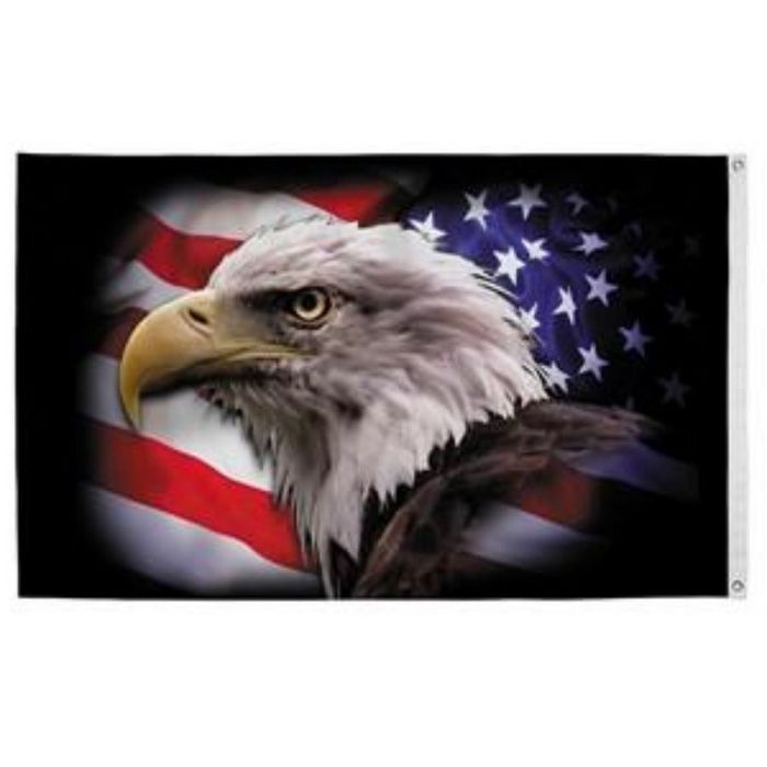3x5' America Strong Eagle Nylon Flag