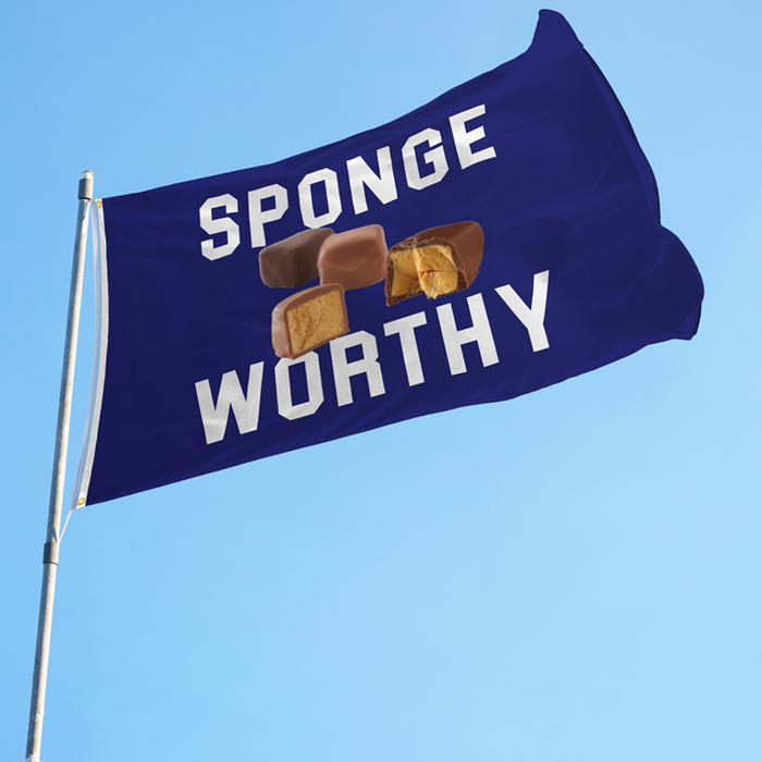 Sponge Worthy Polyester Flag - Made in the USA