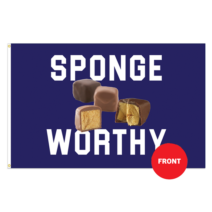 Sponge Worthy Polyester Flag - Made in the USA
