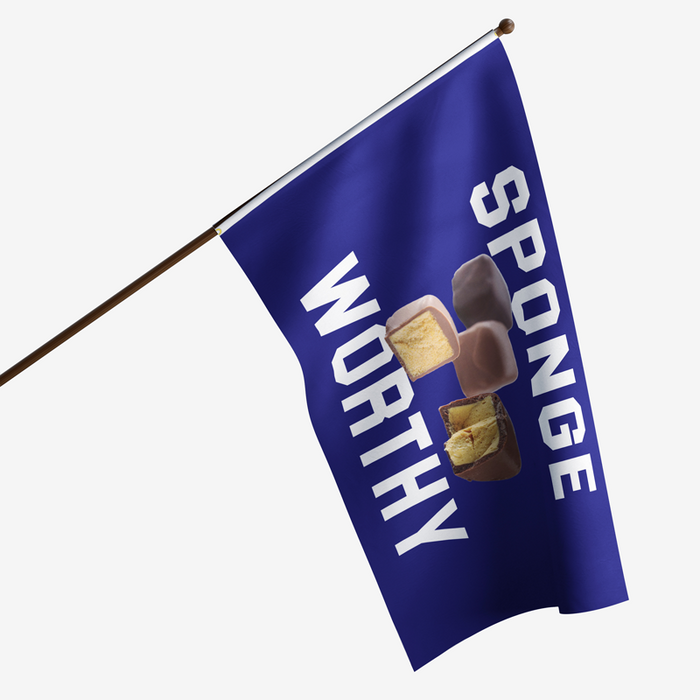 Sponge Worthy Polyester Flag - Made in the USA