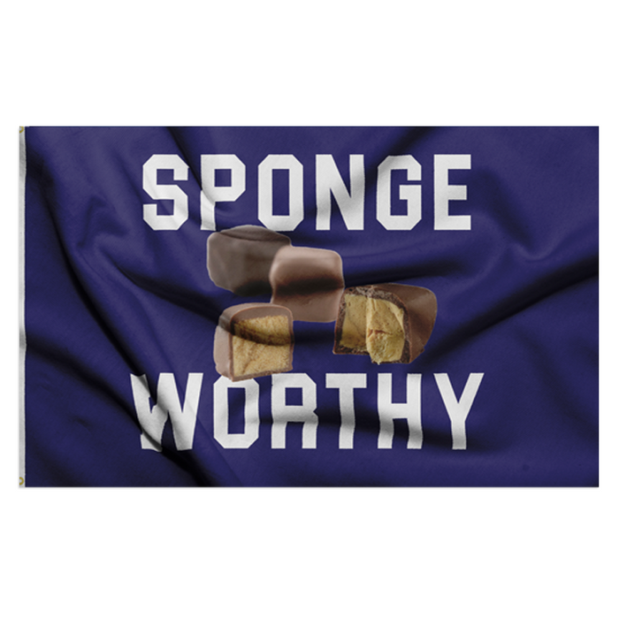 Sponge Worthy Polyester Flag - Made in the USA