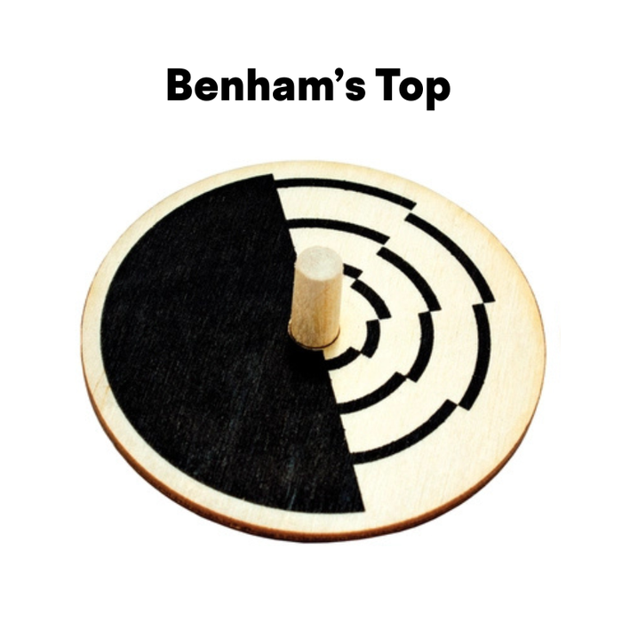Whirligig Spinning Top - Benham's Top