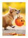 Trick or Treat Puppy Suede Garden Flag