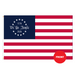 We the People America 250 Polyester Flag