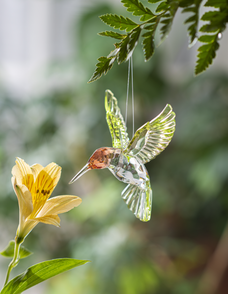 Ruby Throated Hummingbird Acrylic Ornament