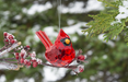 Elegant Cardinal Acrylic Ornament