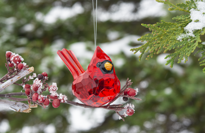 Elegant Cardinal Acrylic Ornament