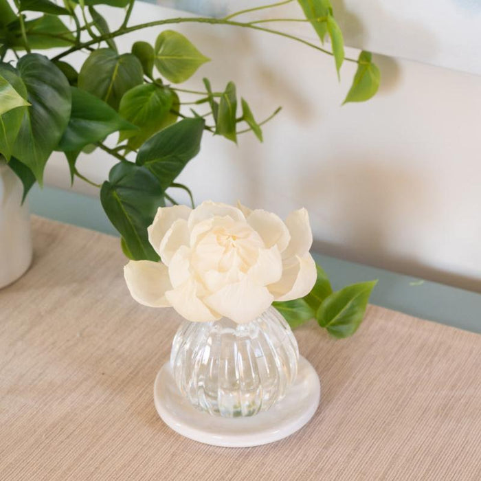 Cashmere Kiss - Warm Floral Flower Diffuser