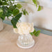 Cashmere Kiss - Warm Floral Flower Diffuser