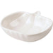 White Pumpkins Stoneware Plate Set