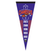 *Pre-Order* Buffalo Bandits 2023 Champ Pennant
