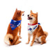 Buffalo Bills Home & Away Pet Bandana Set