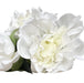 Soft White - Real Feel Single Peony