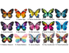 Butterfly Magnet Reference Image for All Styles