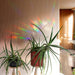 Rainbow Maker Sticker - Assorted Styles