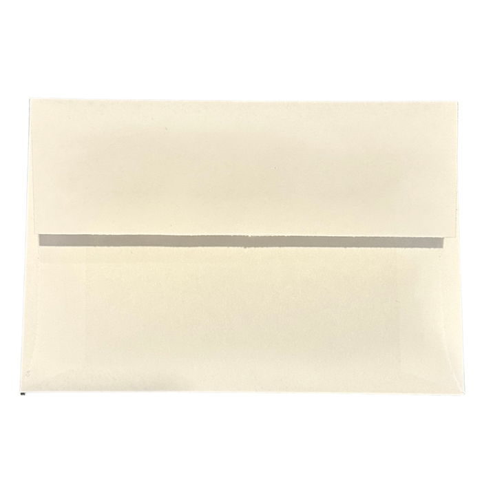 Buffalo Greeting Card Envelope