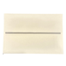 Buffalo Greeting Card Envelope