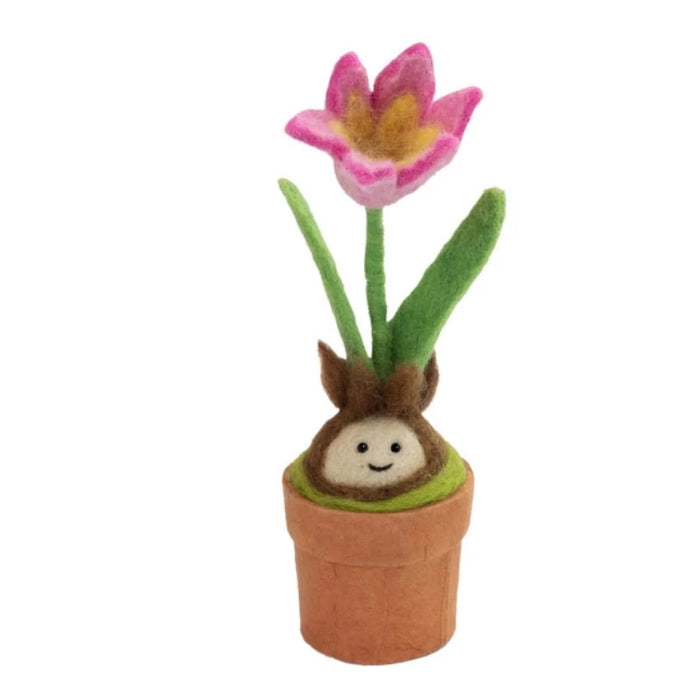 Tulip Blossom Potted Wool Plant