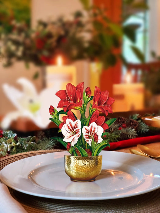 Mini Scarlet Amaryllis Pop-Up Bouquet w/ Note Card