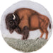 Wild Buffalo Stepping Stone/Wall Decor