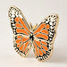 Monarch Butterfly Enamel Lapel Pin
