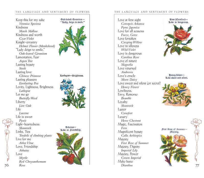 The Language and Sentiment of Flowers Book