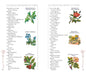 The Language and Sentiment of Flowers Book
