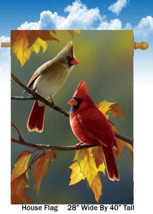 Male & Female Fall Cardinals Banner Flag