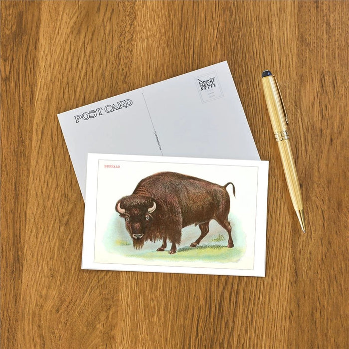 Watercolor Buffalo Postcard