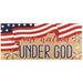 One Nation Under God Mini Switch Doormat Insert